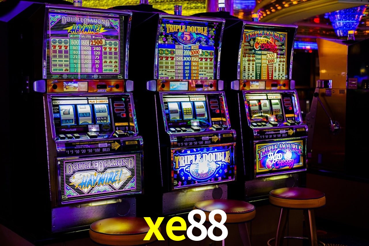 Programa VIP xe88